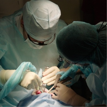 Dentist and assistant performing a dental treatment